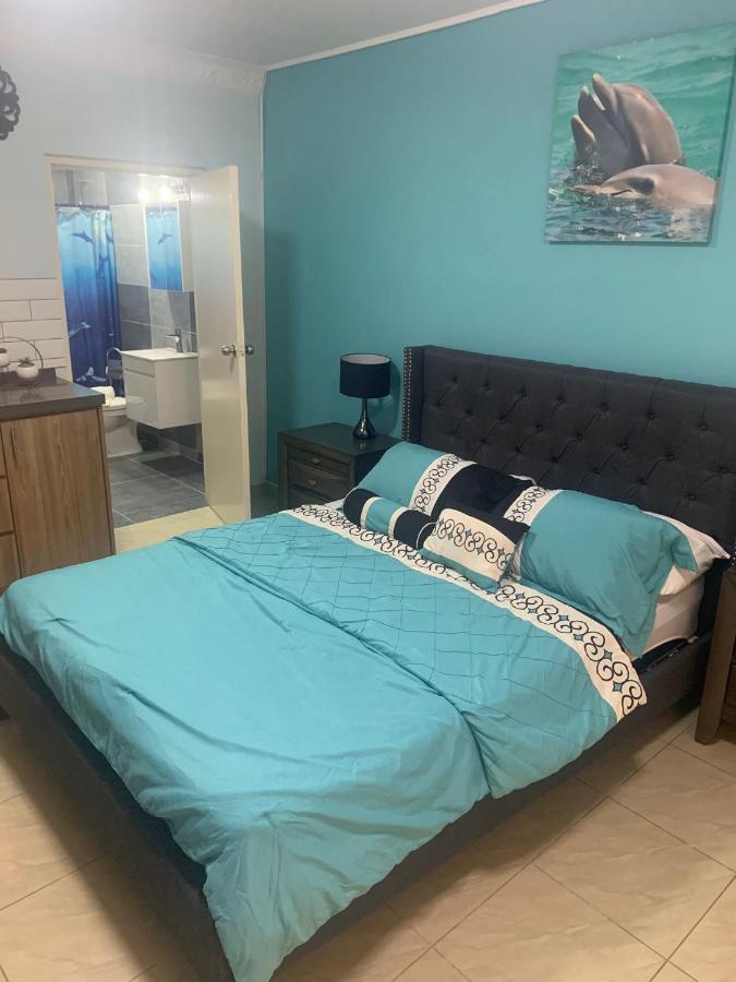 Omira Apartment Suites 威廉斯塔德 外观 照片