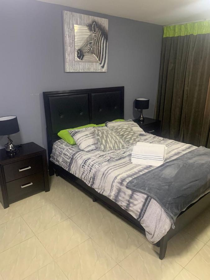 Omira Apartment Suites 威廉斯塔德 外观 照片